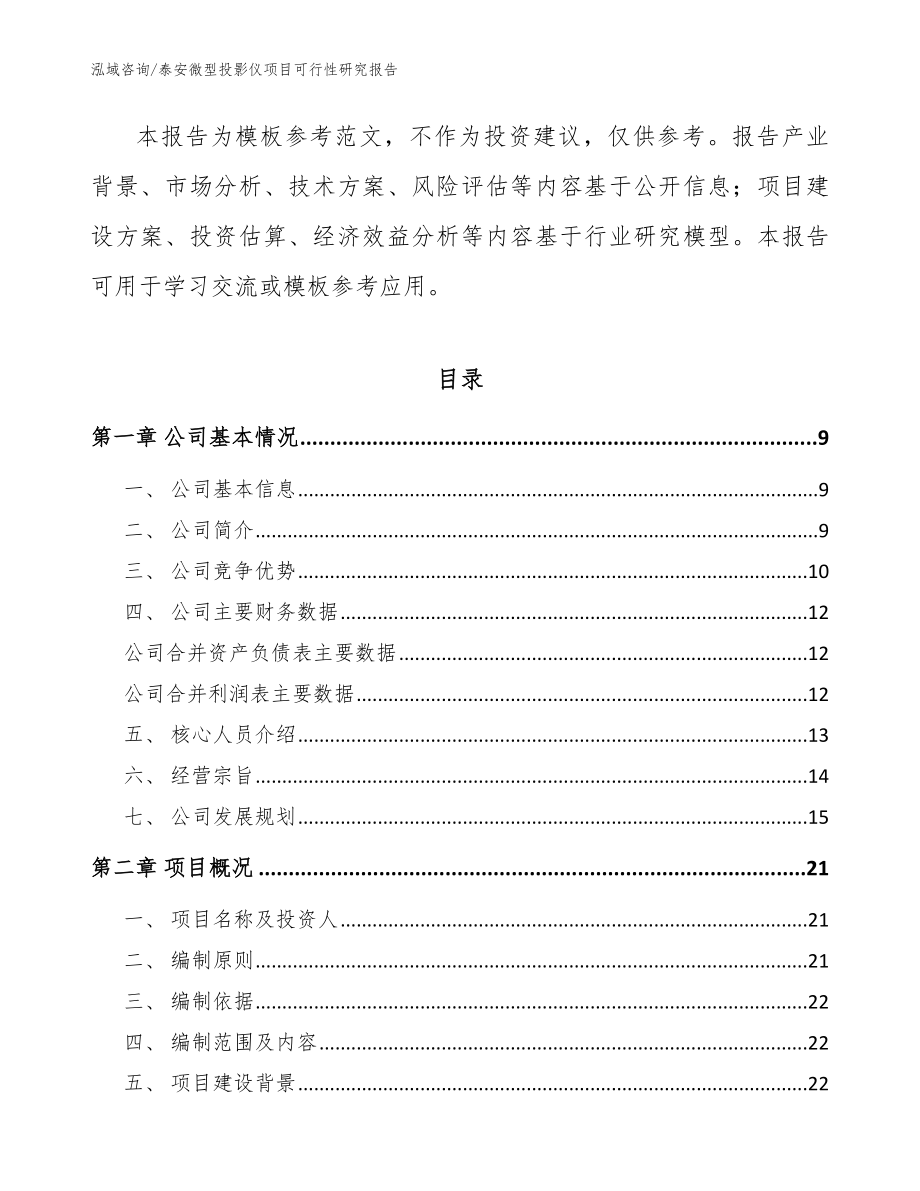 泰安微型投影仪项目可行性研究报告参考范文_第3页