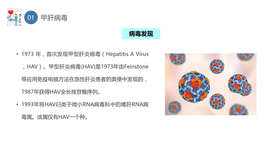 甲型病毒肝炎HAV（中英双语解读病毒特点、传播途径、易感人群、治疗、预防与健康教育）_第4页