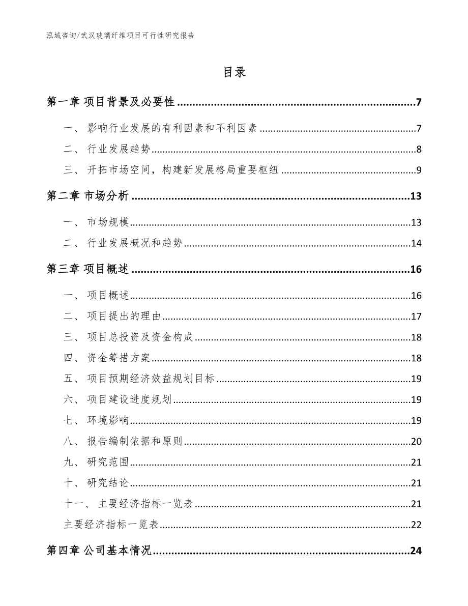 武汉玻璃纤维项目可行性研究报告【参考范文】_第1页
