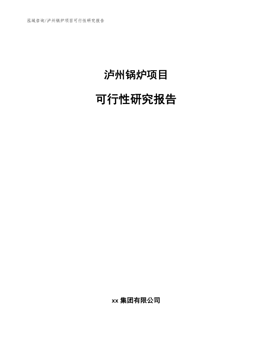 泸州锅炉项目可行性研究报告_范文参考_第1页