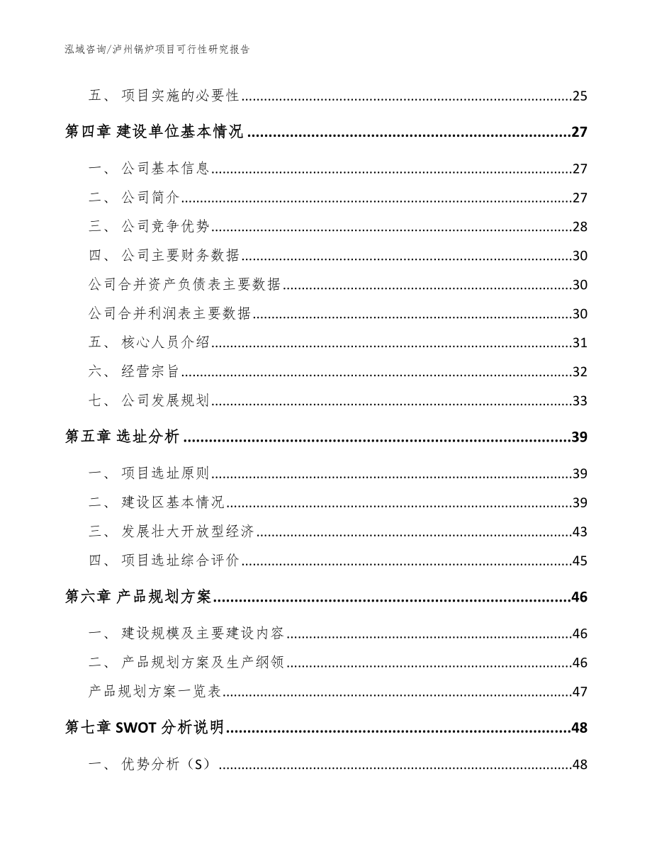 泸州锅炉项目可行性研究报告_范文参考_第3页