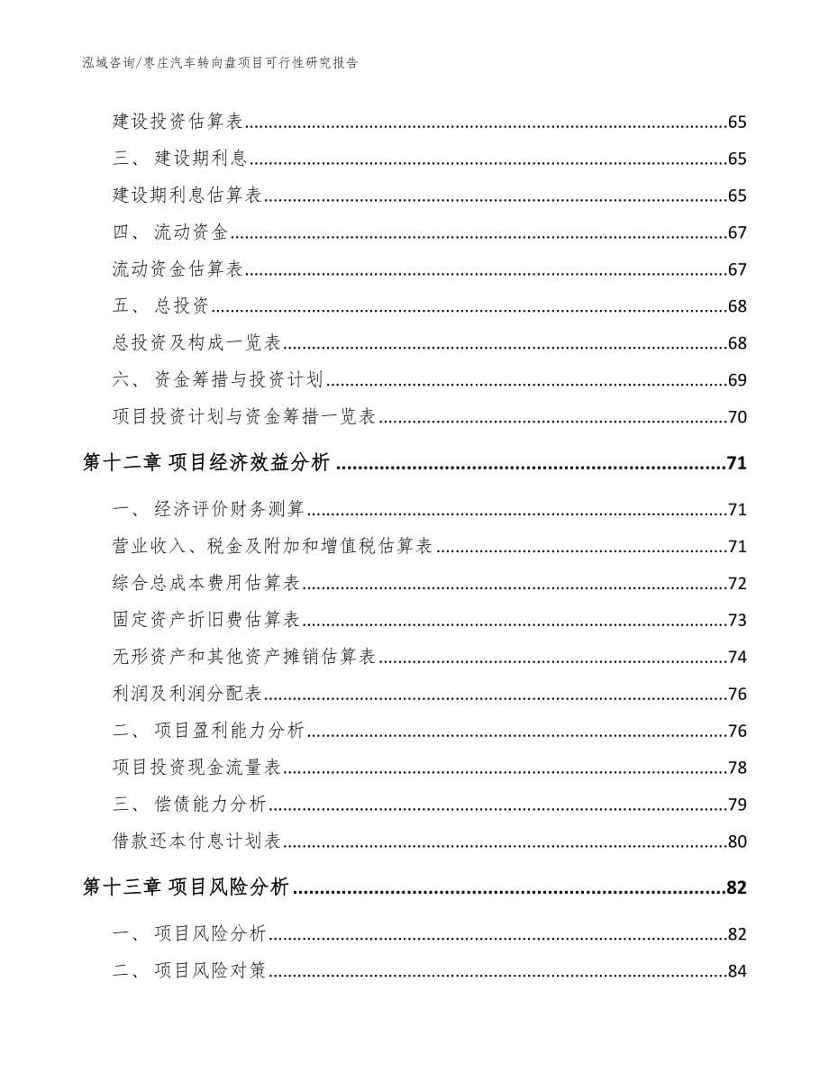 枣庄汽车转向盘项目可行性研究报告【模板参考】_第5页