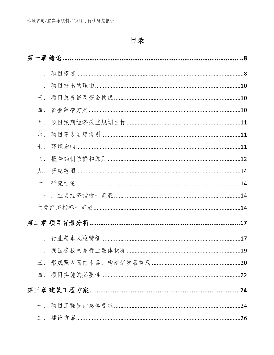 宜宾橡胶制品项目可行性研究报告_模板_第2页