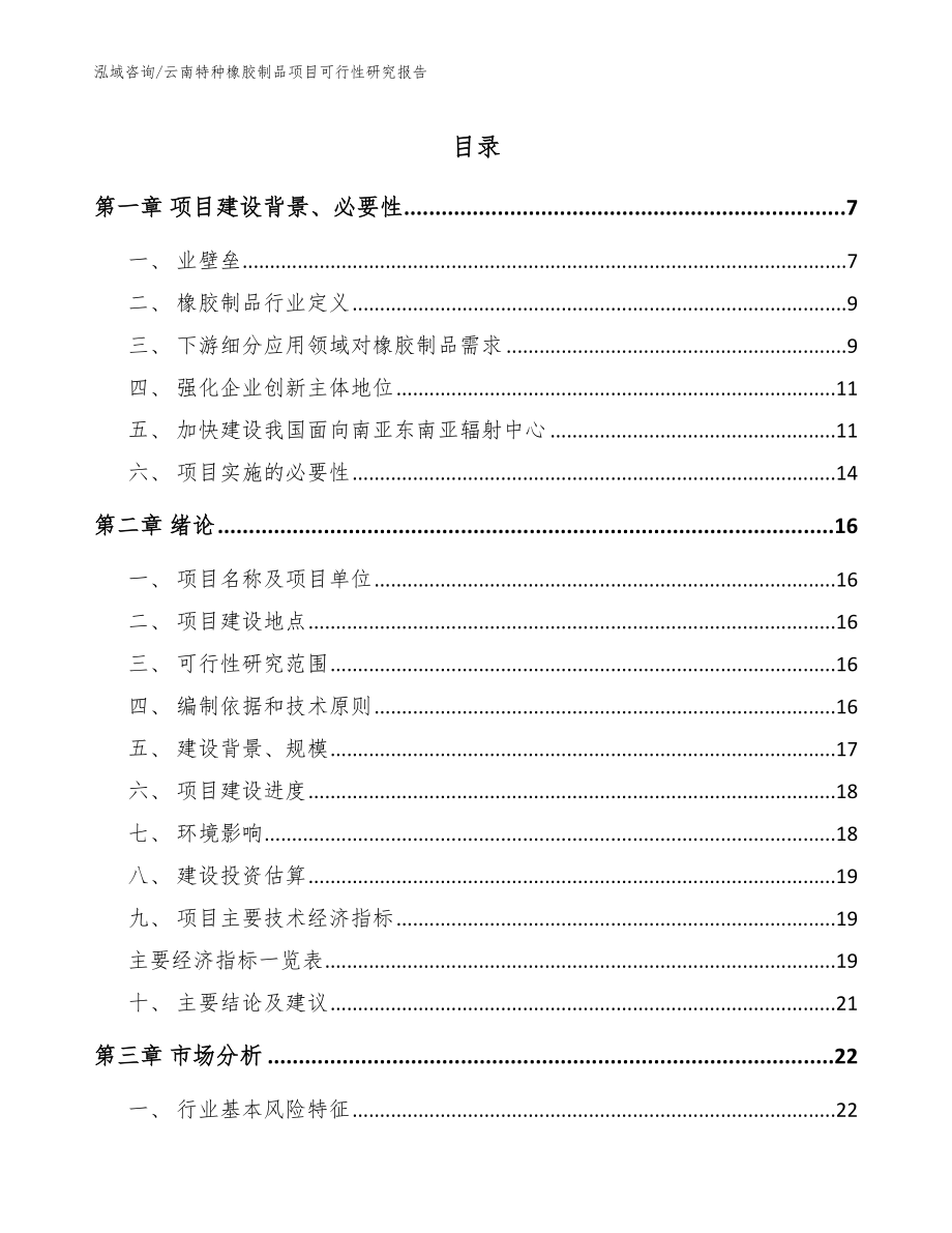 云南特种橡胶制品项目可行性研究报告_模板参考_第1页