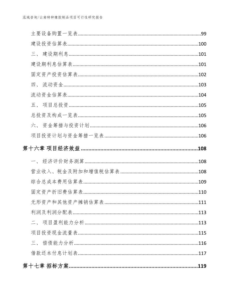 云南特种橡胶制品项目可行性研究报告_模板参考_第5页