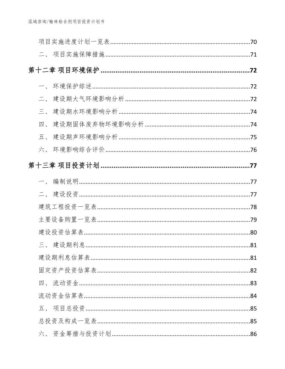 榆林粘合剂项目投资计划书_模板范本_第5页