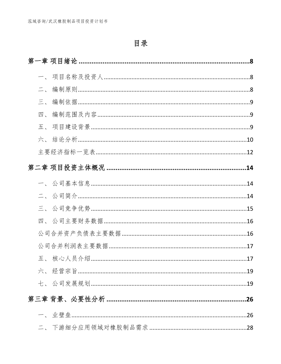 武汉橡胶制品项目投资计划书_参考范文_第1页