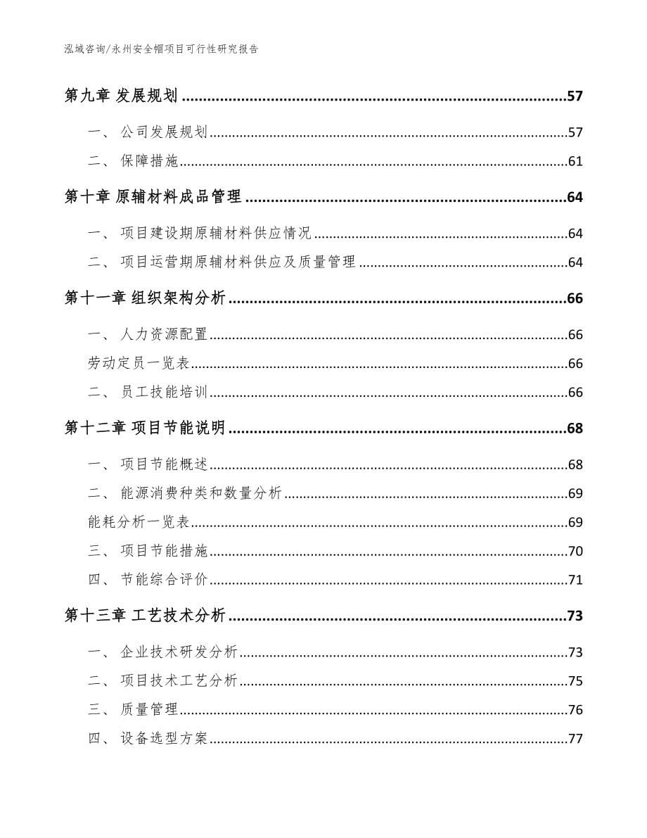 永州安全帽项目可行性研究报告【模板参考】_第5页