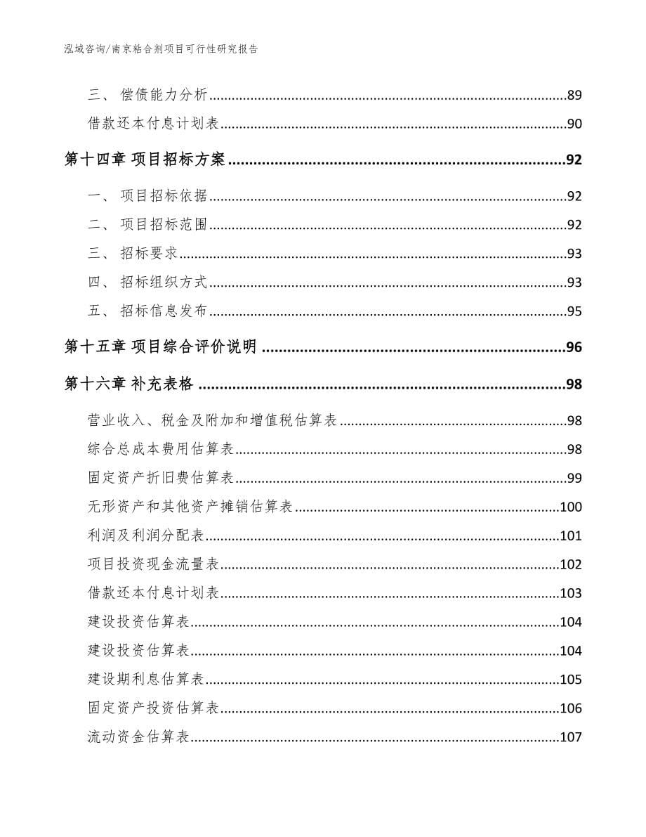 南京粘合剂项目可行性研究报告【模板】_第5页