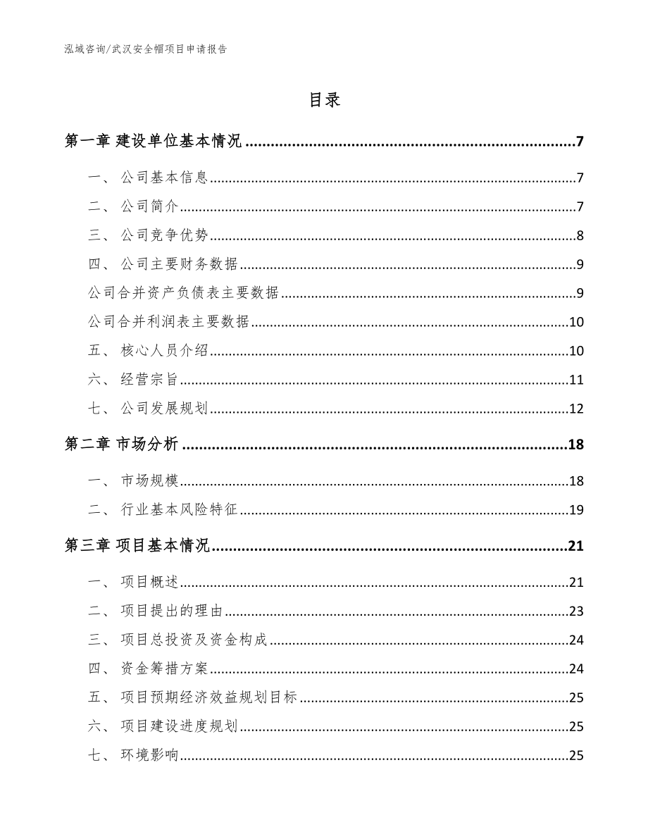 武汉安全帽项目申请报告【参考范文】_第1页