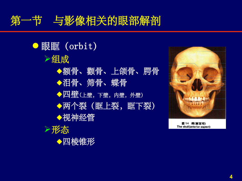 201x-5-8规培小讲课五官之眼眶疾病影像诊断x_第4页