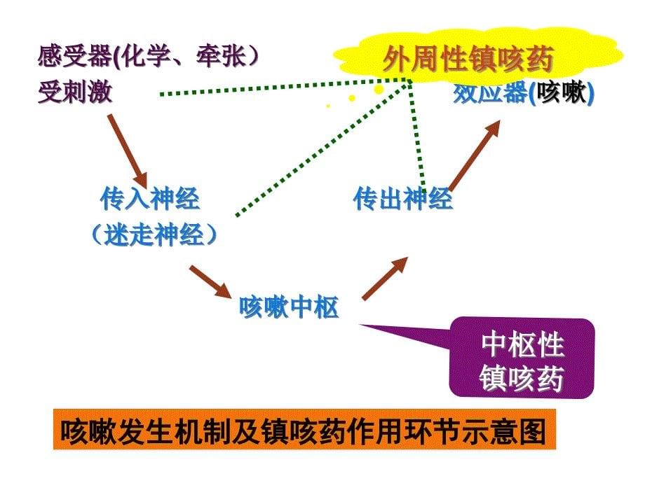 邵阳医专药理学教研室_第5页