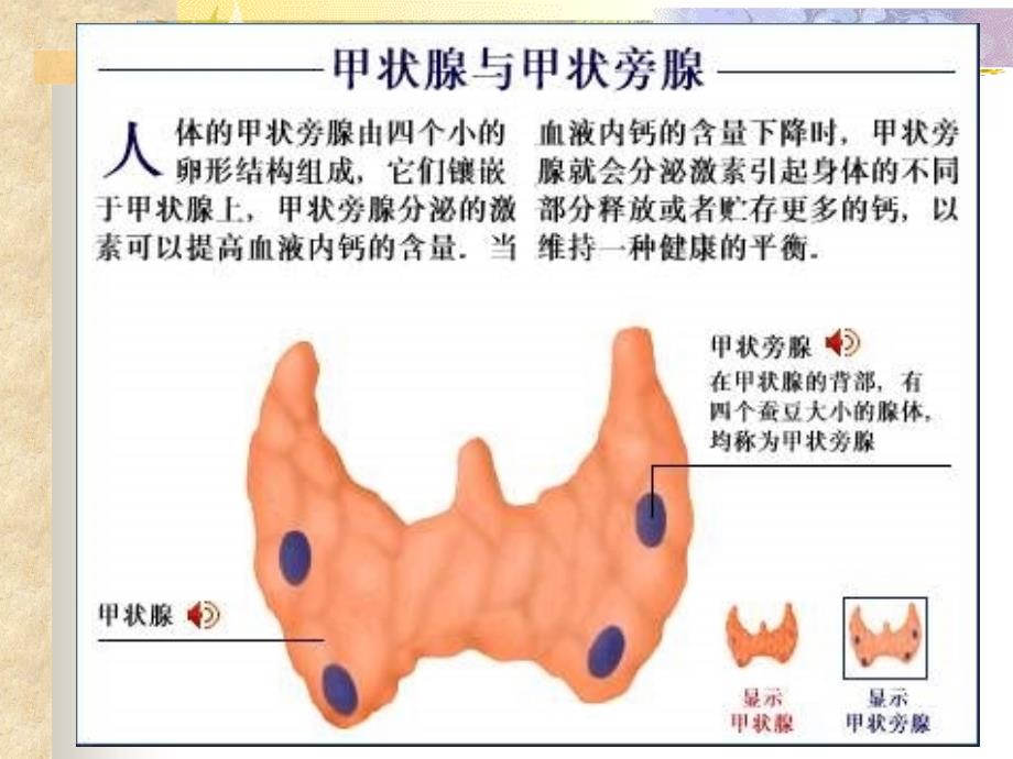 颈部疾病病人的护理知识讲义_第4页