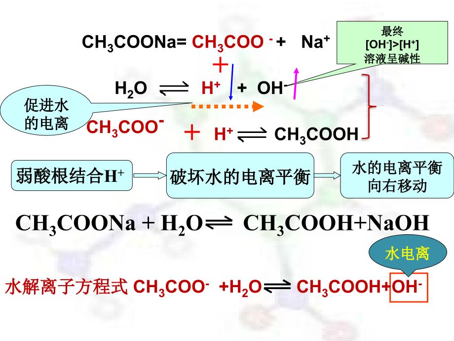 第三章 第二节 盐类的水解_第4页