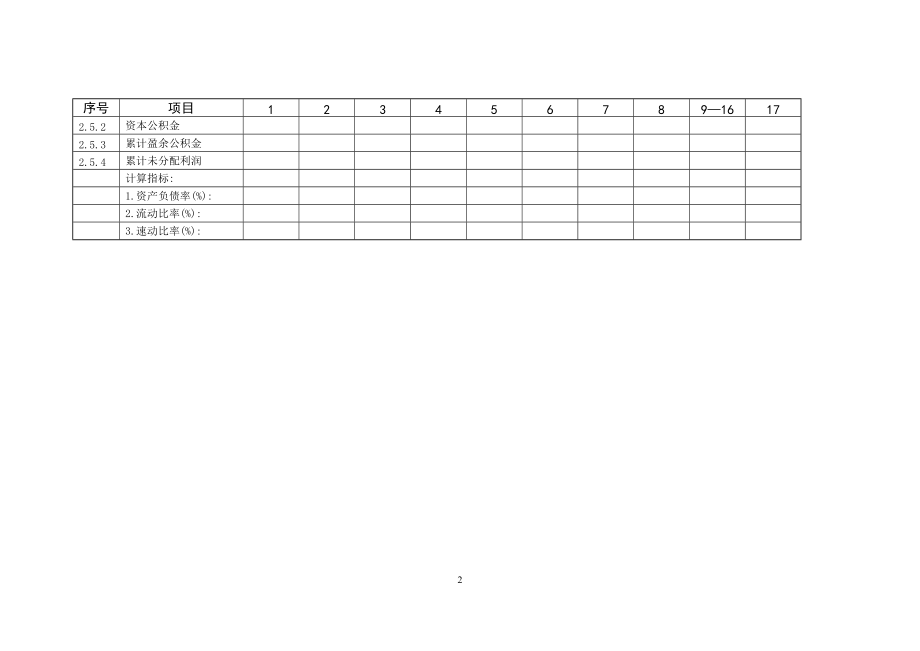 资金项目资产负债表模板_第2页