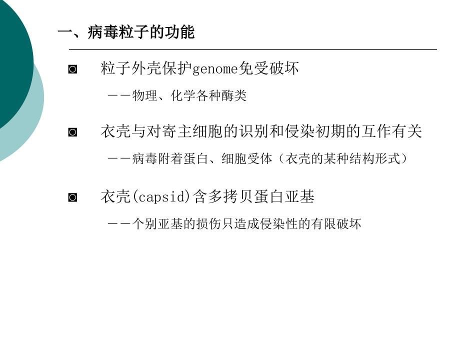 病毒基因组_第5页