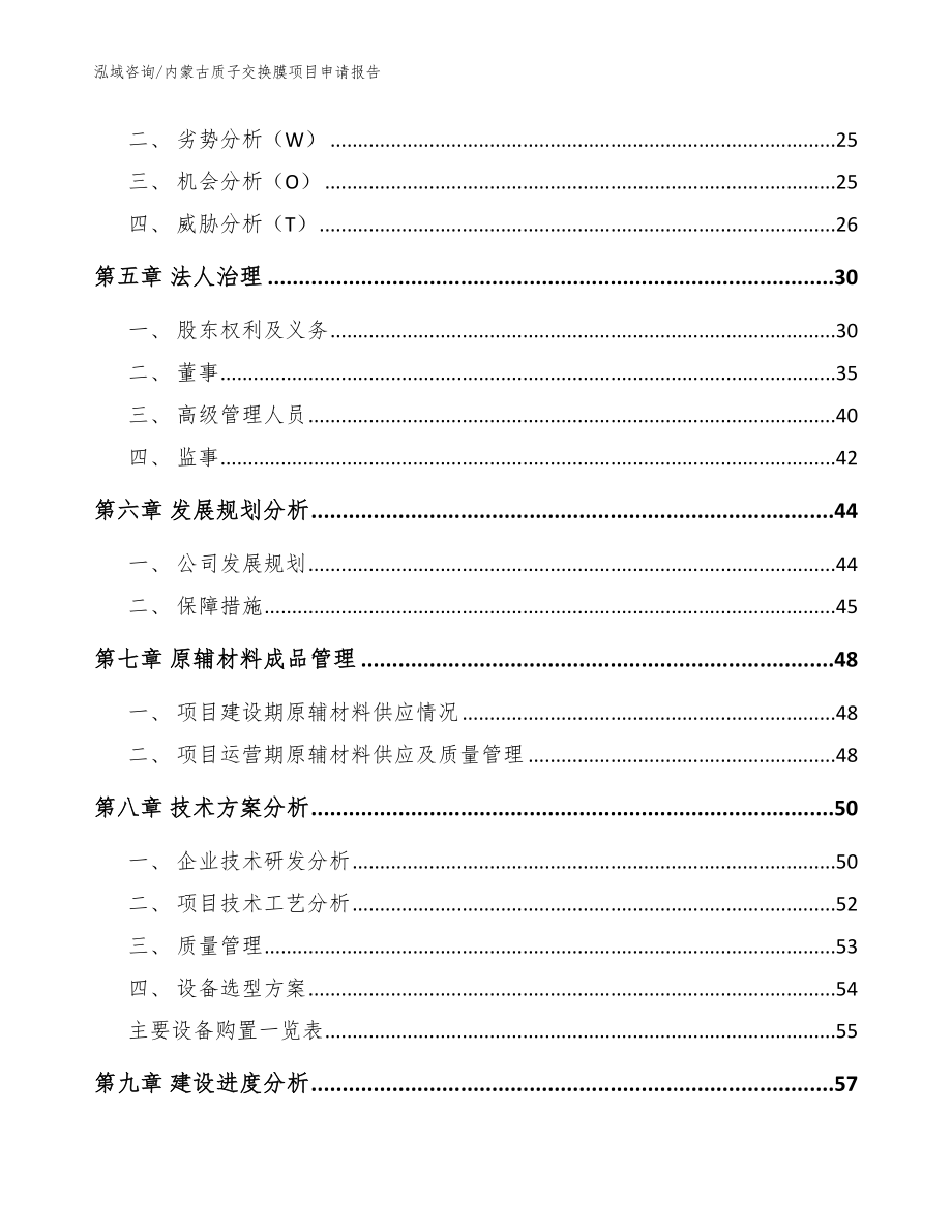 内蒙古质子交换膜项目申请报告模板范本_第2页