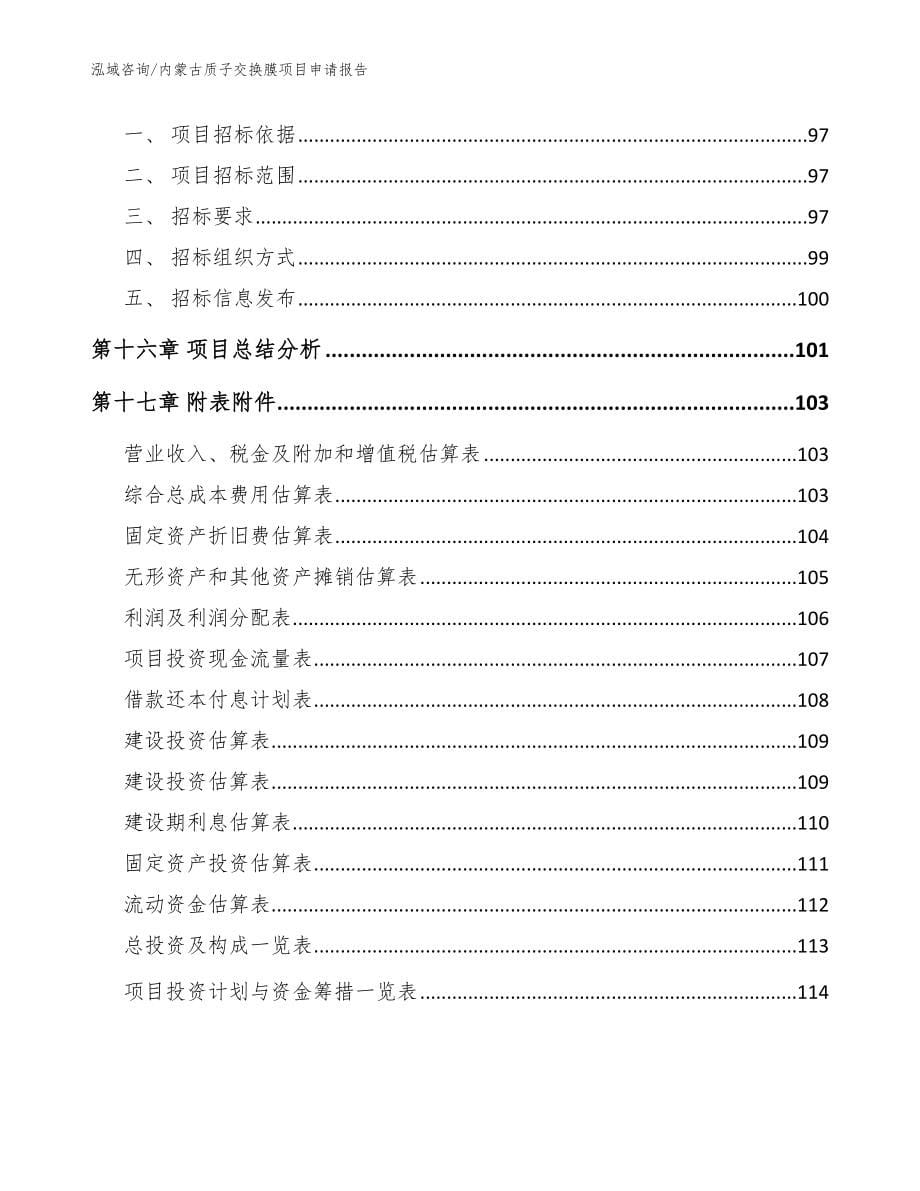 内蒙古质子交换膜项目申请报告模板范本_第5页