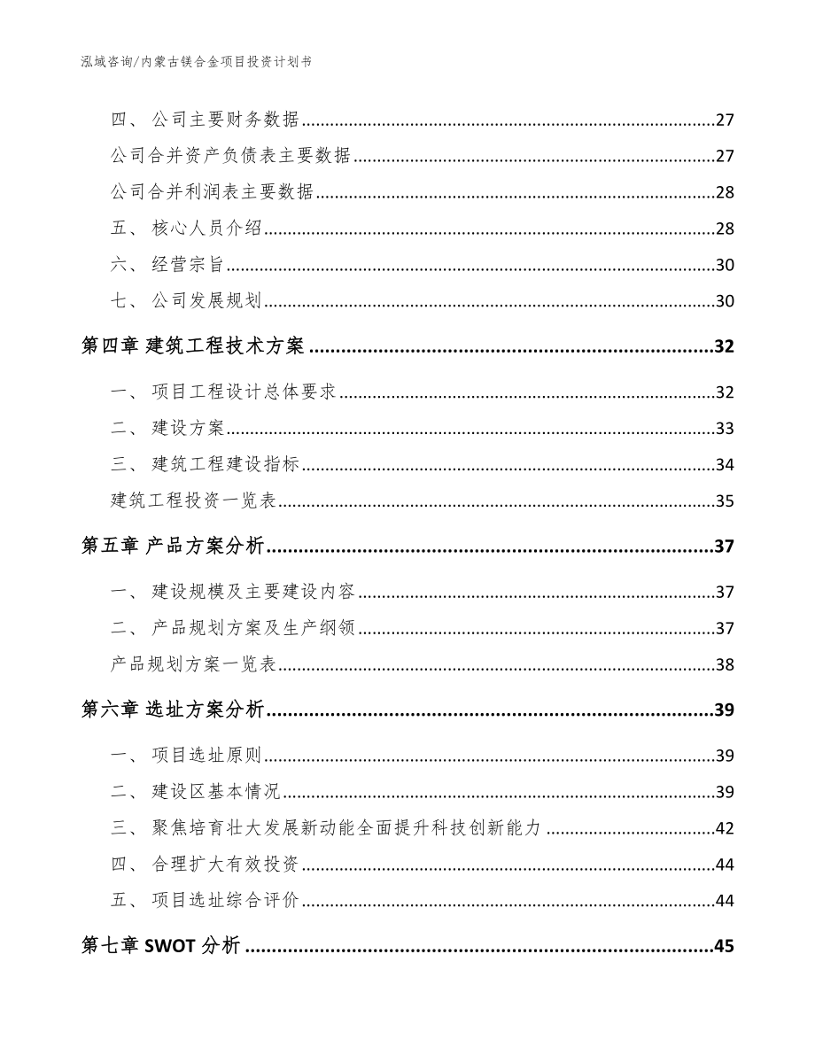 内蒙古镁合金项目投资计划书范文模板_第3页