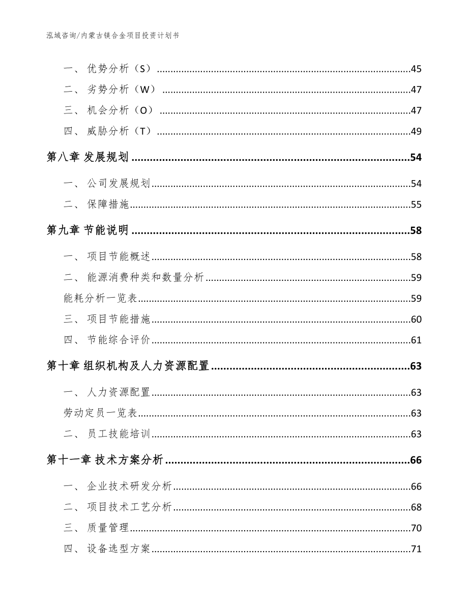 内蒙古镁合金项目投资计划书范文模板_第4页