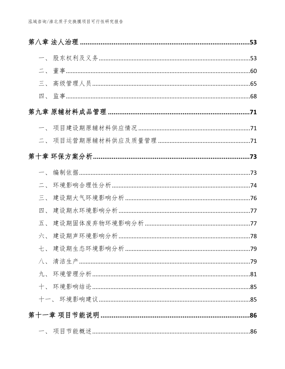 淮北质子交换膜项目可行性研究报告（模板范本）_第4页