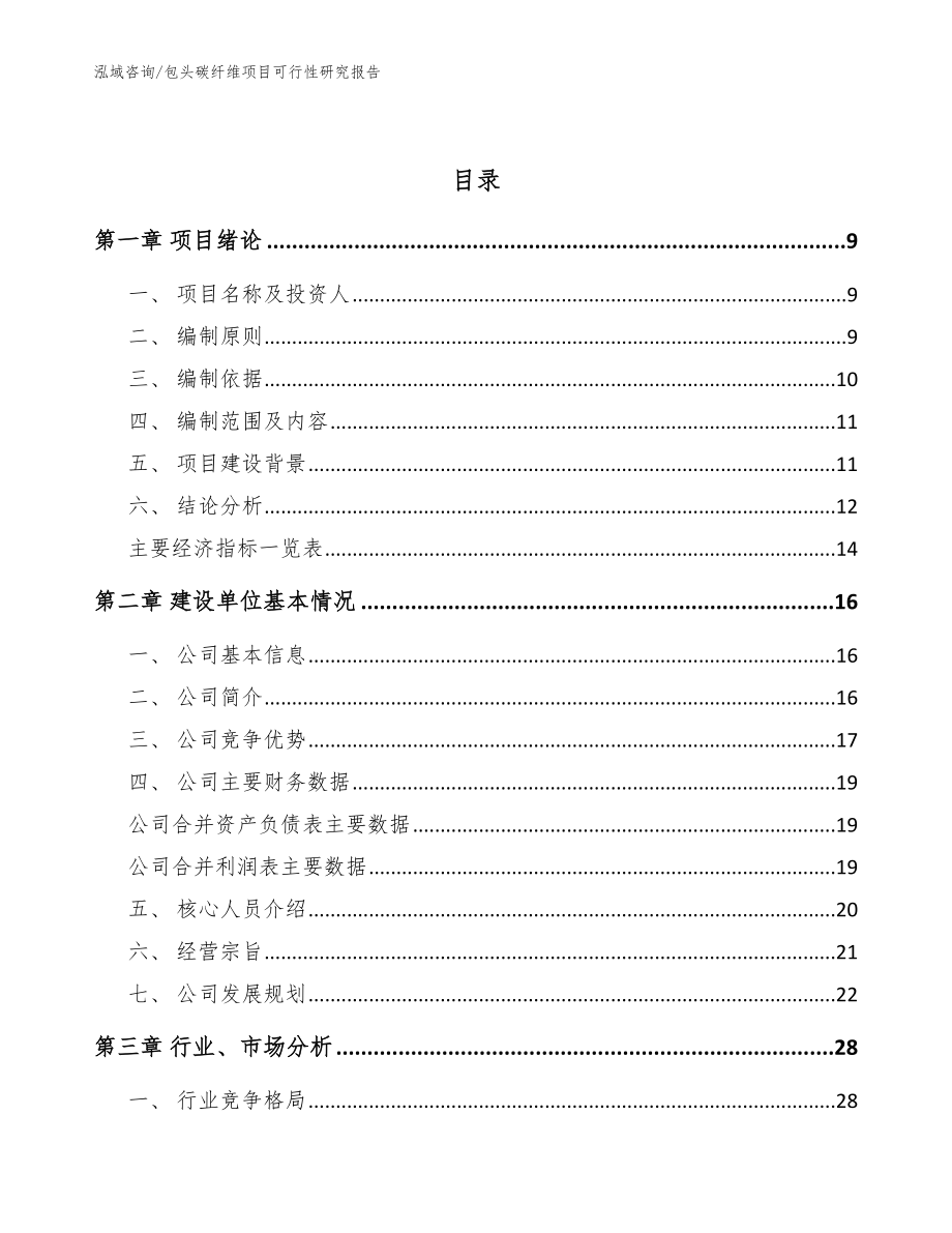 包头碳纤维项目可行性研究报告【模板参考】_第3页