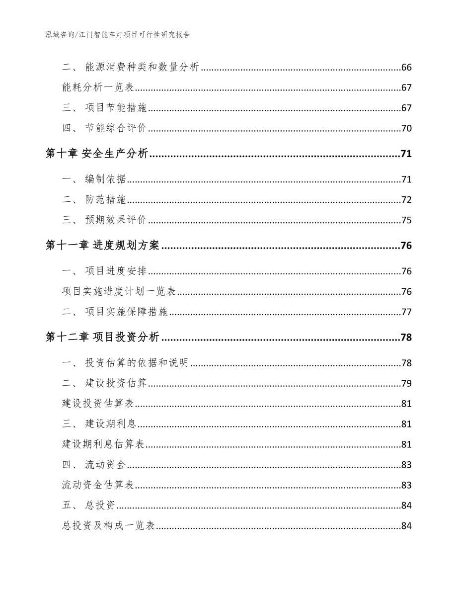 肇庆智能车灯项目可行性研究报告模板范本_第5页