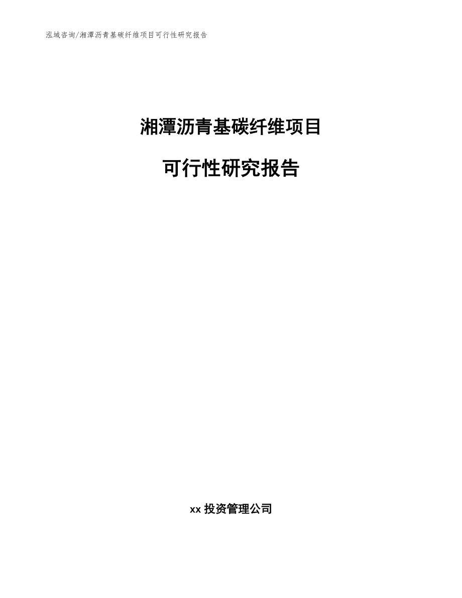 湘潭沥青基碳纤维项目可行性研究报告【范文参考】_第1页