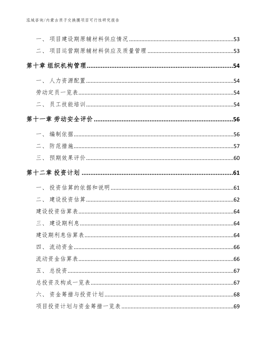 内蒙古质子交换膜项目可行性研究报告【模板范本】_第4页