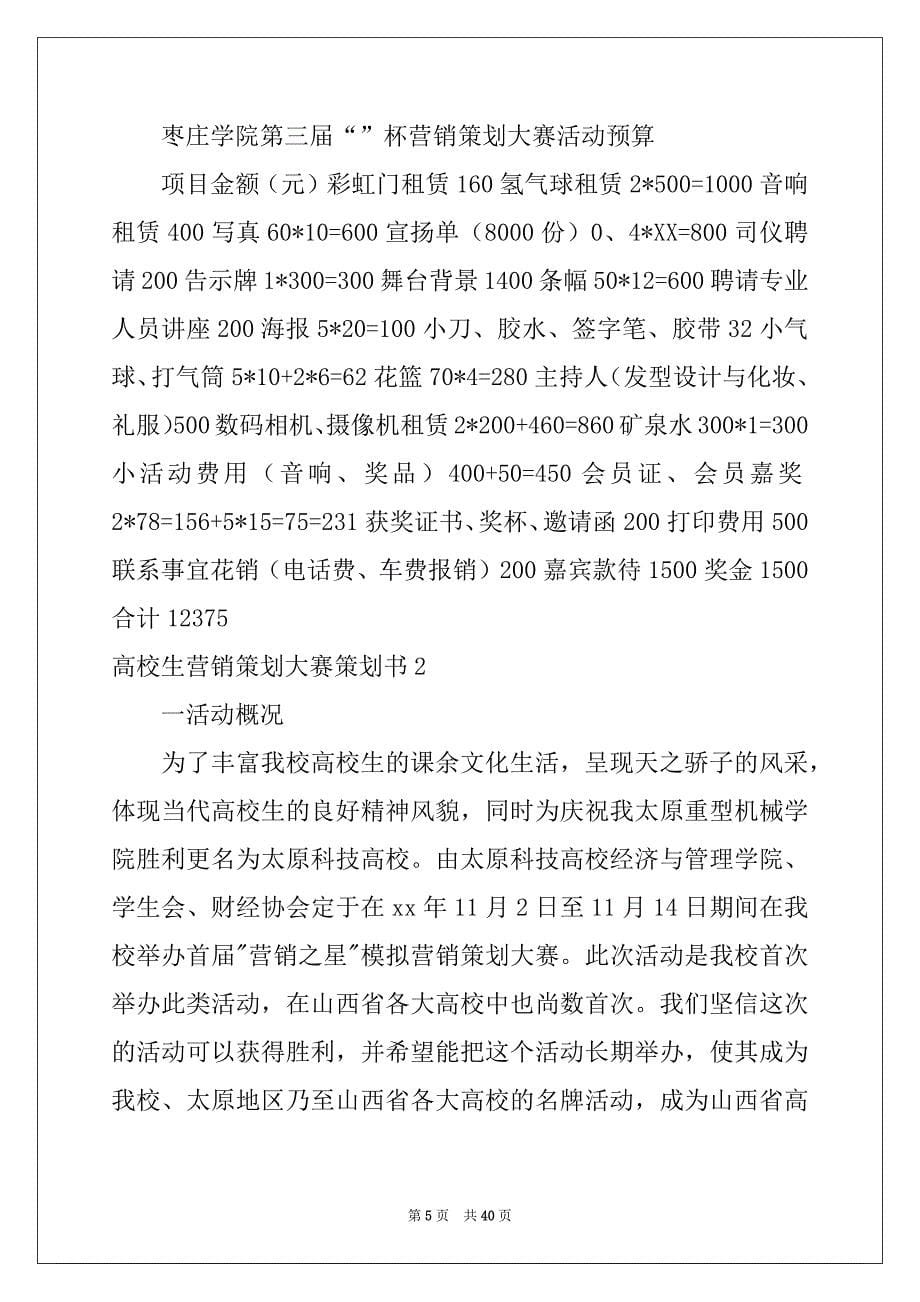 2022年大学生营销策划大赛策划书_第5页