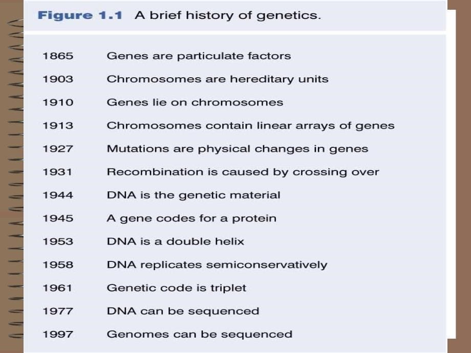 分子遗传课件130723序论_第5页