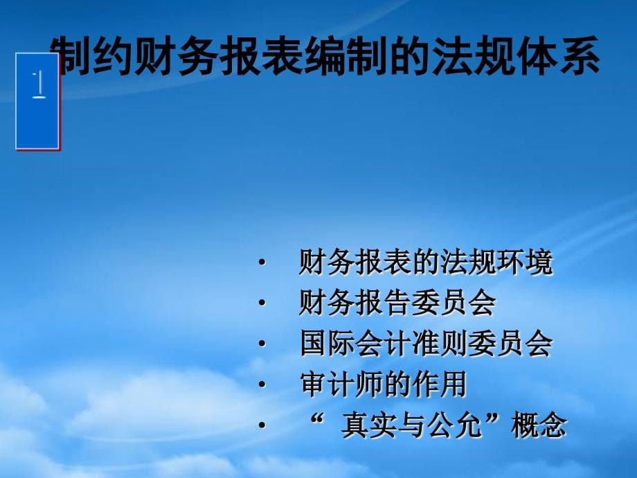 财务报表解释分析_第5页