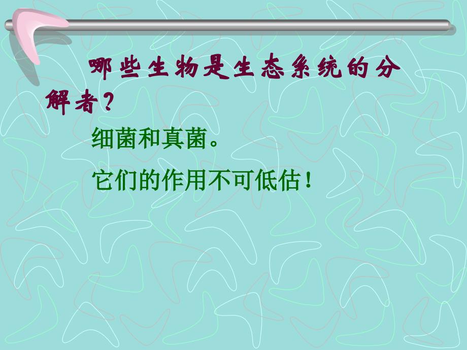 细菌和真菌在自然界中的作用课件教案课件资料(0002)_第4页