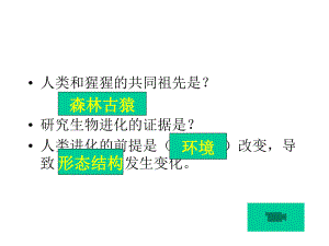 初一生物人的生殖课件资料