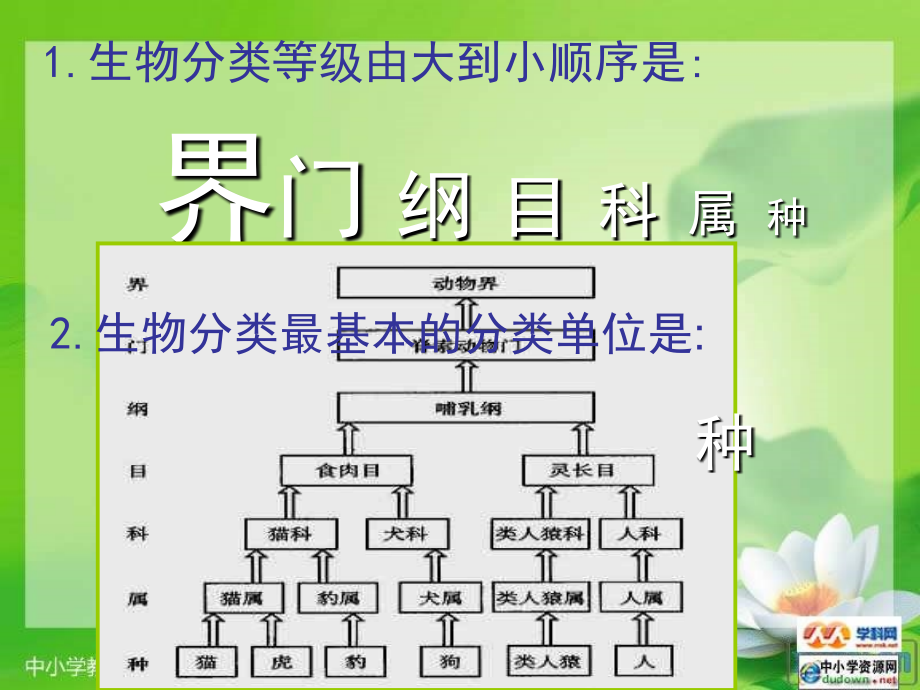 人教版生物八上第二章《认识生物的多样性》ppt课件之一资料_第2页