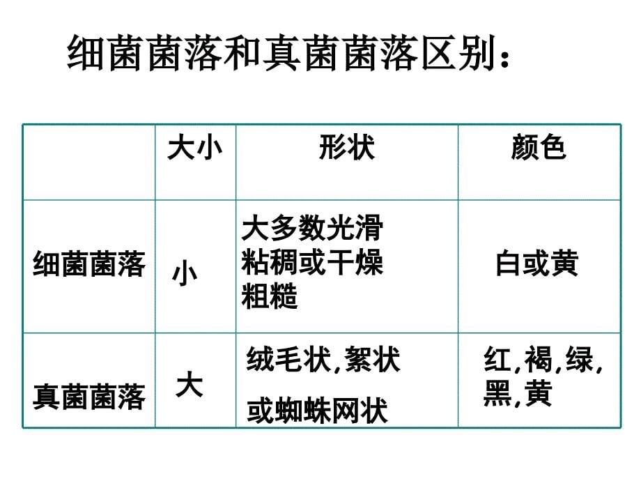 第四章第一节细菌和真菌的分布课件资料_第5页