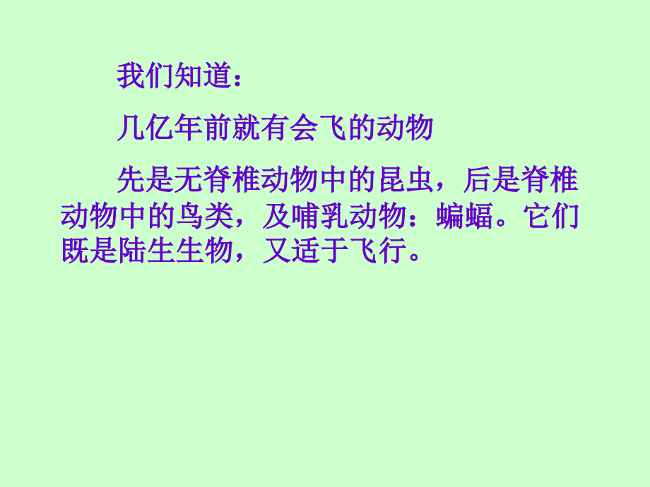 人教版八上《空中飞行的动物-鸟》ppt课件包（含素材文件）资料_第2页