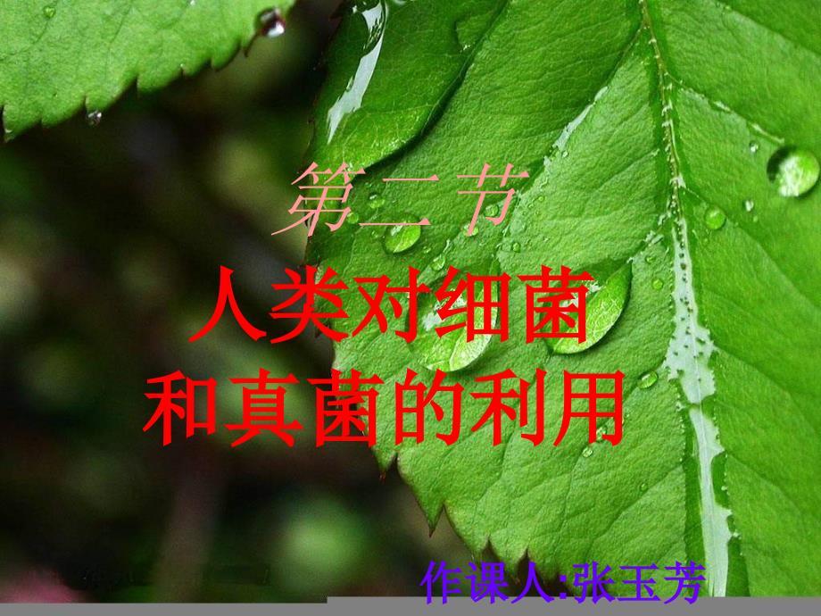 人教版生物八上第二节《人类对细菌和真菌的利用》ppt课件之二资料_第1页