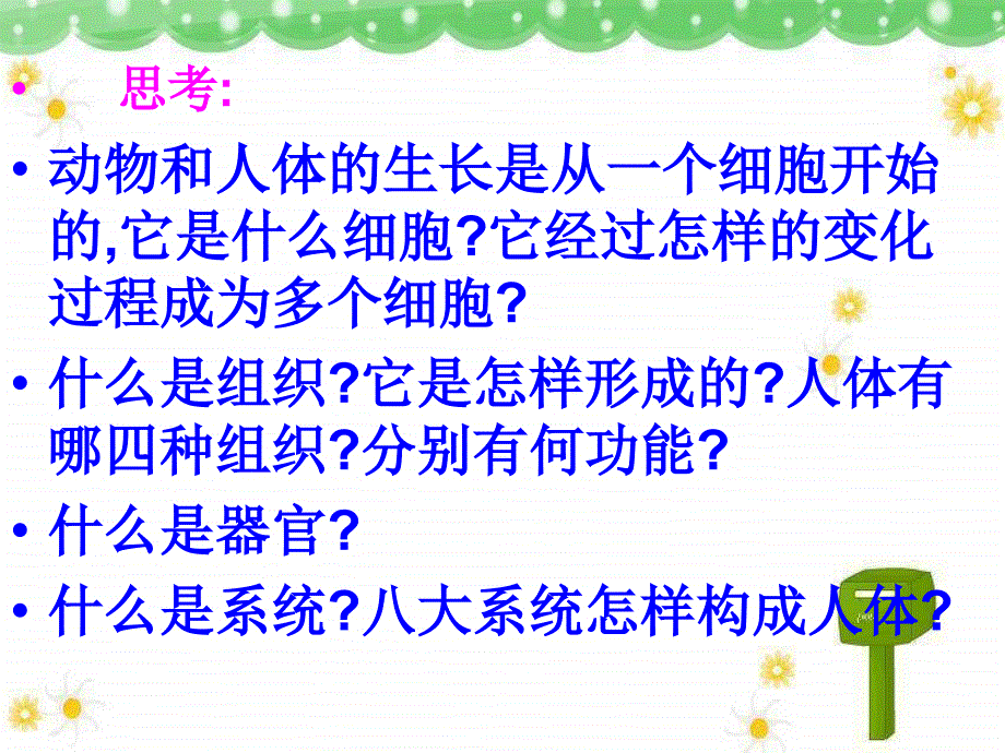 人教版七上《动物体的结构层次》ppt课件4资料_第3页