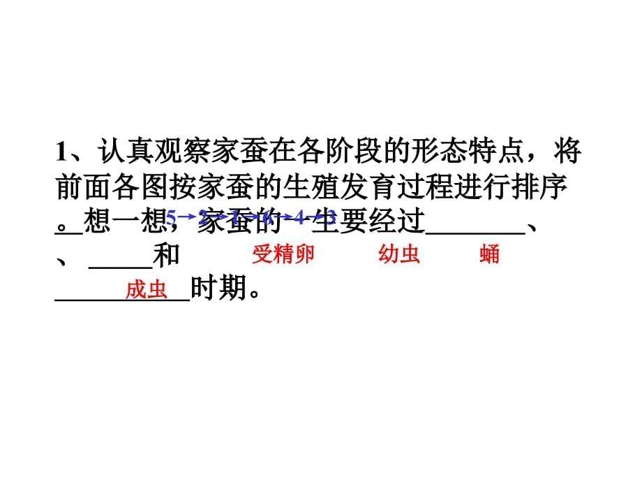 初二昆虫的生殖和发育课件资料_第5页