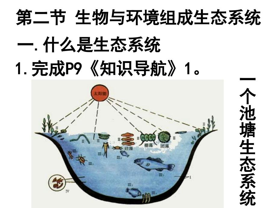 第二节 生物与环境组成生态系统课件资料_第2页