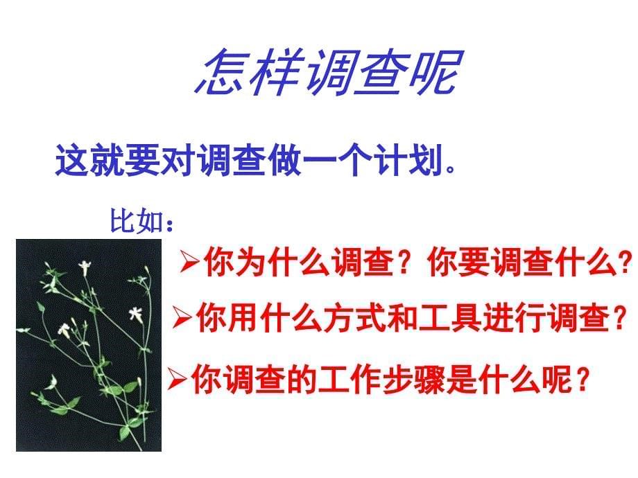 人教版七上《调查我们身边的生物》ppt课件1资料_第5页