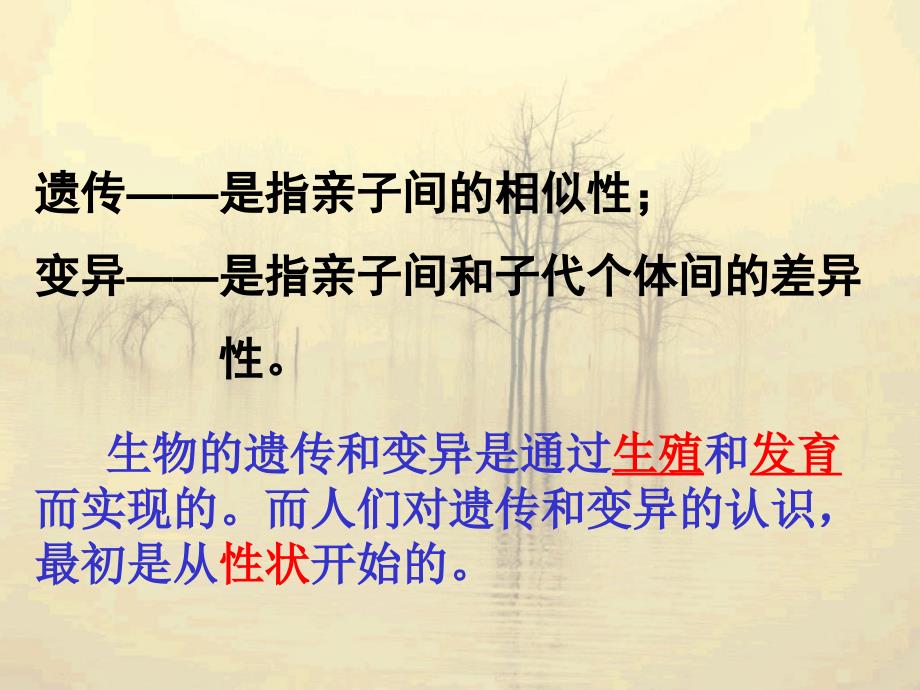 基因控制生物的性状课件资料_第4页