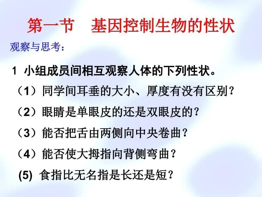 基因控制生物的性状课件资料_第5页