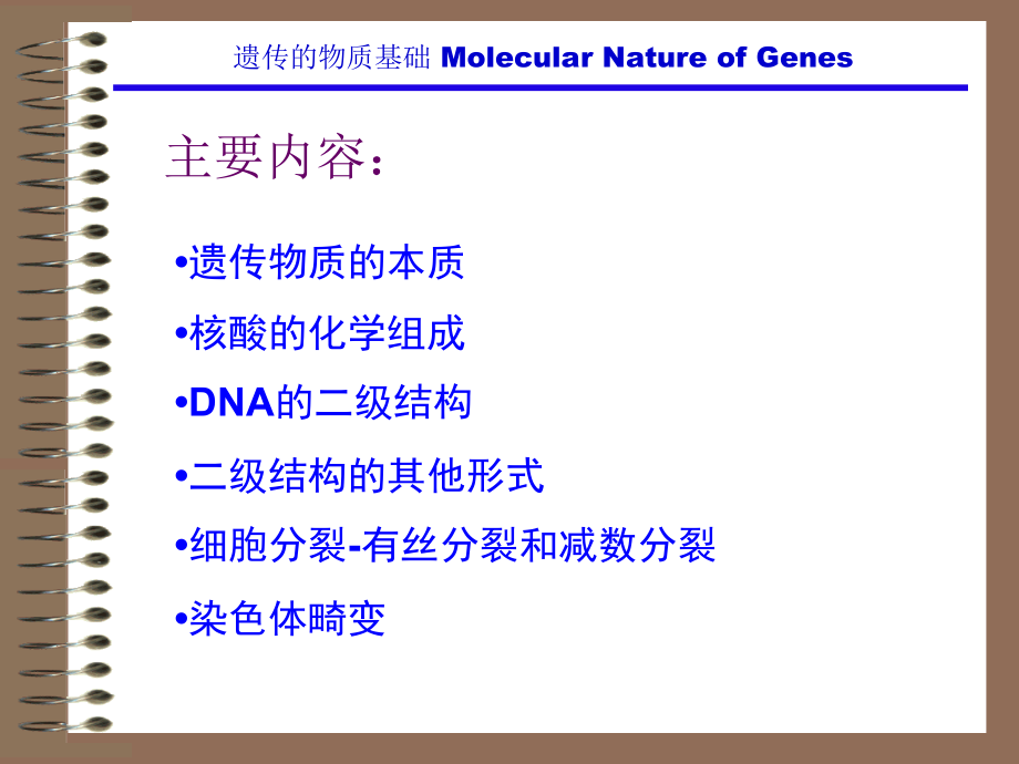 分子遗传课件130723第二章 遗传的物质基础_第2页