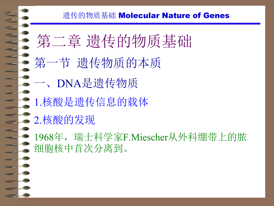 分子遗传课件130723第二章 遗传的物质基础_第3页