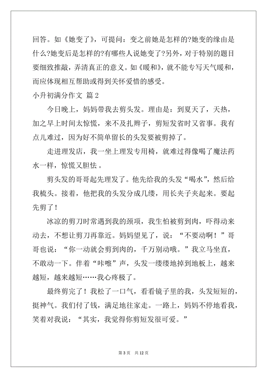 2022年小升初满分作文汇总7篇_第3页