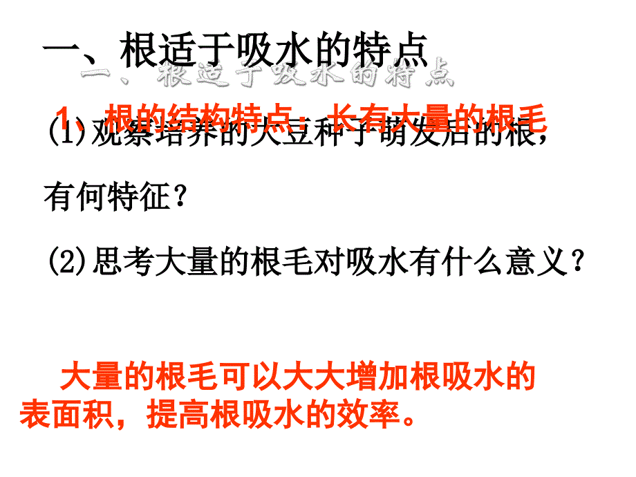 人教版七上《水分进入植物体内的途径》ppt课件3资料_第3页