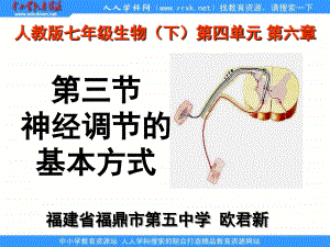 人教版生物七下《神经调节的基本方式》ppt课件1资料