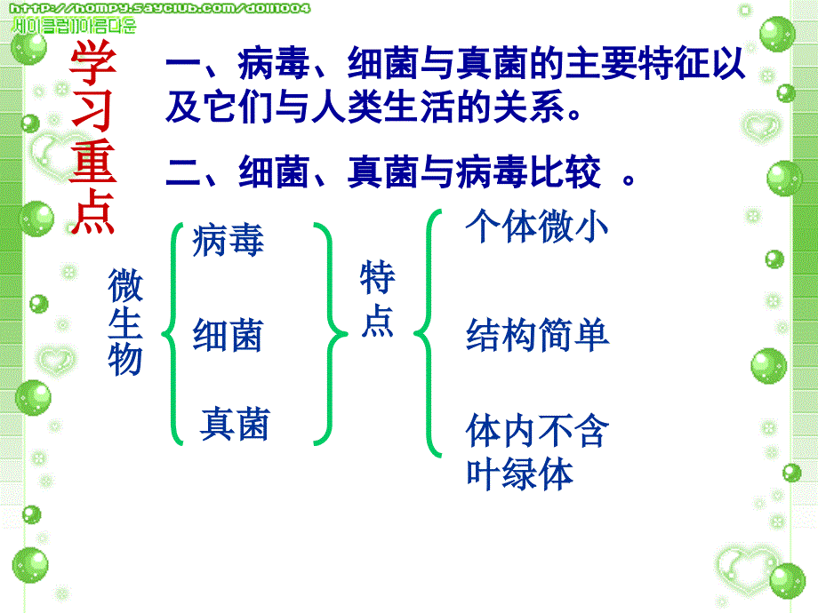 八上病毒、细菌、真菌复习课件资料_第2页